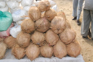 lincoln nh coconut health
