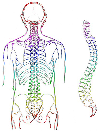 lincoln nh chiropractor lincoln nh chiropractor
