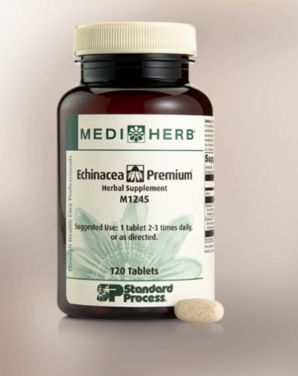 Boost Your Immune System - MediHerb Echinacea Premium