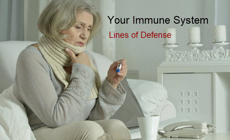 Immune System Lines of Defense