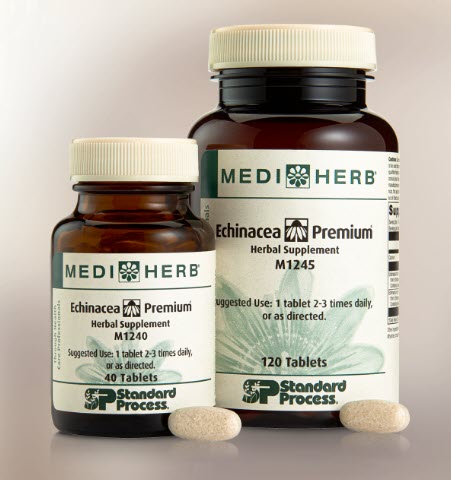 Long COVID Treatment - MediHerb Echinacea